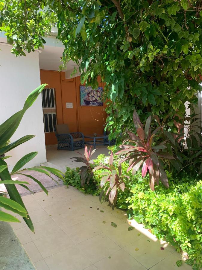 Hôtel Casa Centro 70 à Mérida Extérieur photo